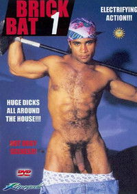 Poster for Brick Bat 1