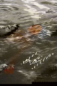 Poster 12