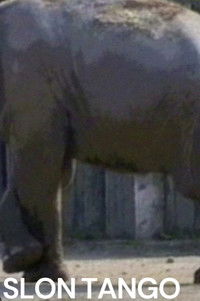 Poster for Slon Tango