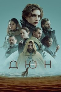 Poster 330