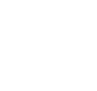 Logo 49