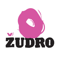 Logo - Žudro