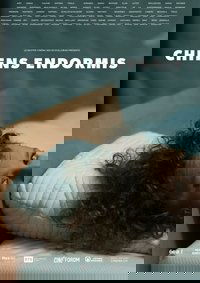 Chiens endormis