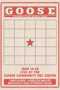 Bingo Tour