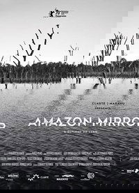 Amazon Mirror