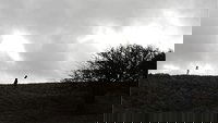 Backdrop 0
