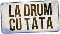 Logo 1
