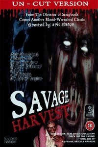 Poster 5
