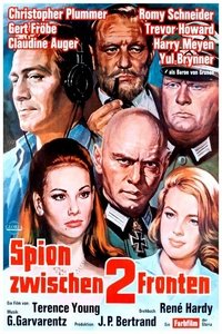 Poster 1