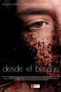 Poster for From the forest