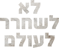 Logo 13