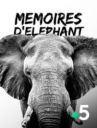 Poster for Mémoires d'éléphant