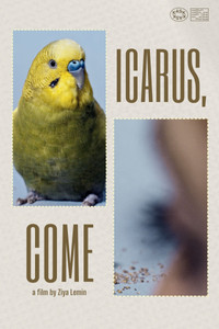Poster for Icarus, Come