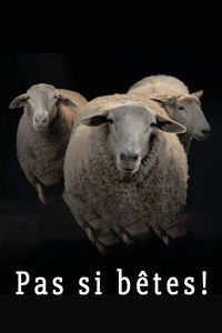 Poster for Pas si bêtes!