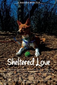 Sheltered Love