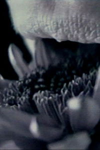 Poster for straightbut