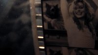 Backdrop 6