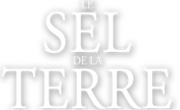 Logo 0