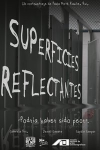 Poster for Reflective Surfaces