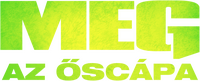 Logo 12