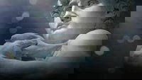 Backdrop 0
