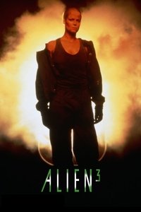 Poster 127