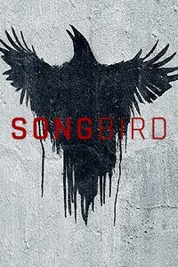 Poster 8
