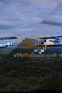 Wings: Grandeur in the Sky