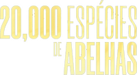 Logo 6