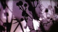 Backdrop 0