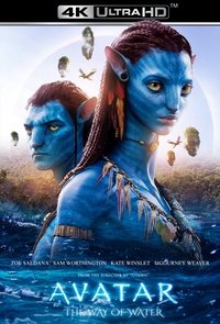 Poster 331