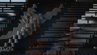 Backdrop 7