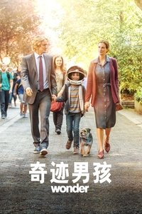 Poster 35