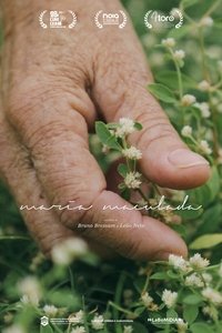 Poster for Maria Maculada