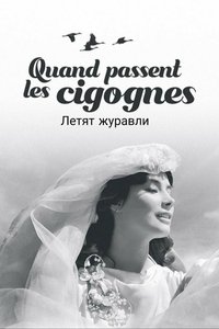 Poster 48