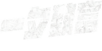 Logo 9