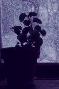 Poster for In my Hometown I-III