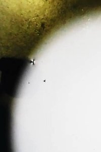 Poster for Sumi-ê