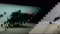 Backdrop 0