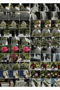 Interactions 11: Jardins des Plantes