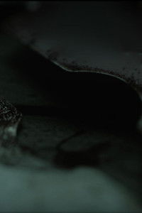 Poster for To Those Who Speak Waves