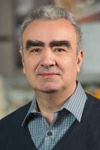 Profile of Marius Stan