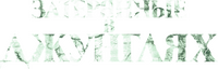 Logo 0