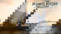 Backdrop 7