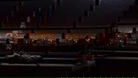 Backdrop 20