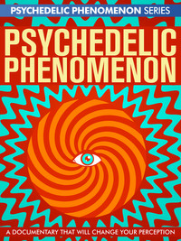 Psychedelic Experiences