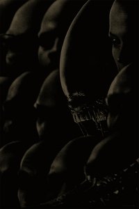 Poster 134