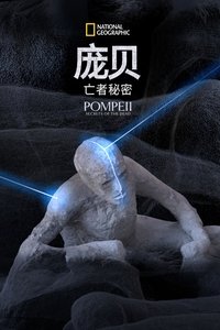Poster 16