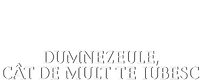 Logo 0