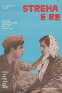 Poster for The New Shelter